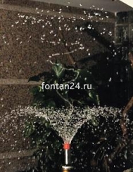 Hibiscus 1" Hibiscus 1"