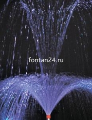 Hibiscus 1 1/2" Hibiscus 1 1/2"