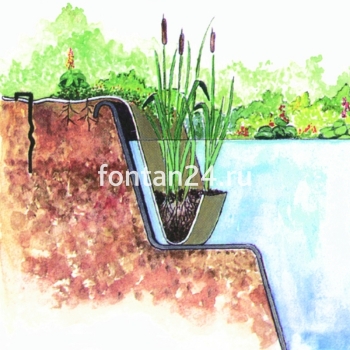 Карман береговой